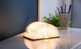 Walnut Smart Book Light